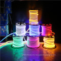 waterproof 110V 220V RGB yellow warm white 2 side shine custom led neon flex strips light